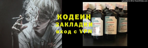 мет Корсаков